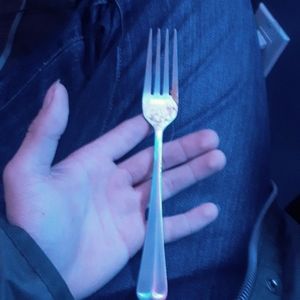 Fork slightly used once